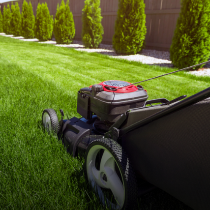 Lawn & GardenLawn mower
